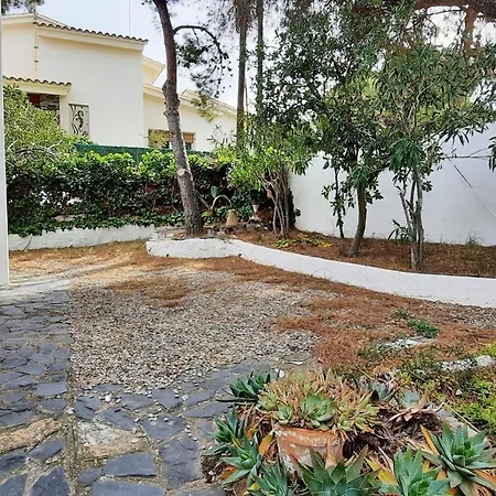 Apartment Amplio En Planta Baja Con Terraza Y Jardin, Cerca De La Playa Carboneras, - Es-170-1 Llanca